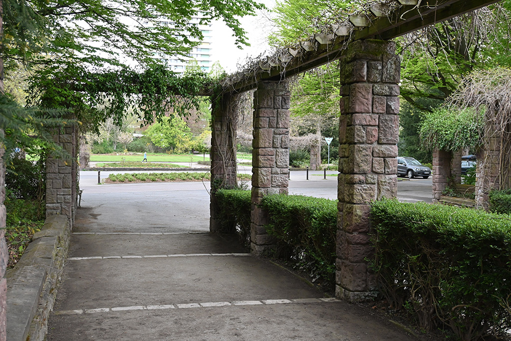 Gelsenkirchen, Rosengarten im Stadtpark