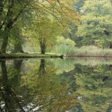 Romantisch anmutender Blick über einen Gartenteich in einem Landschaftspark