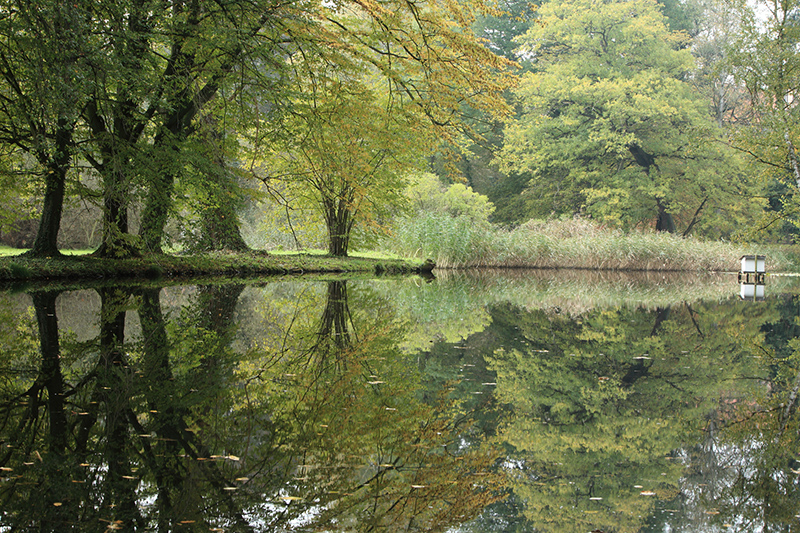 Romantisch anmutender Blick über einen Gartenteich in einem Landschaftspark