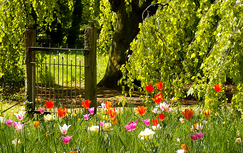 Gartenidylle im Frühjahr